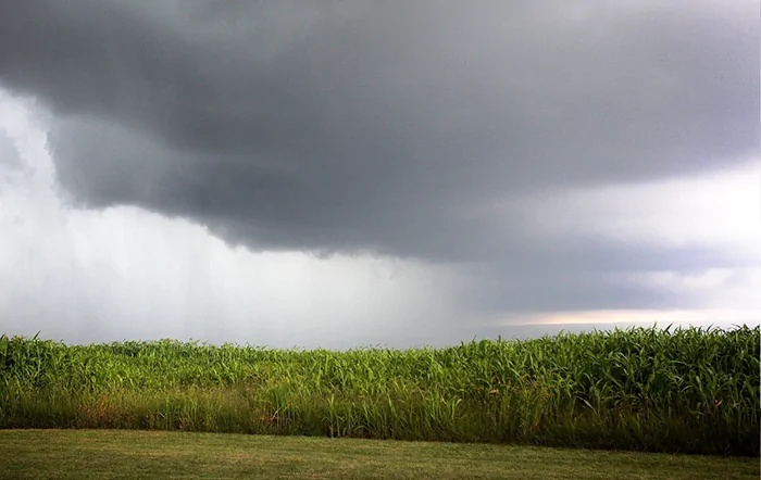 Tempestades colocam Agro do Paraná em alerta