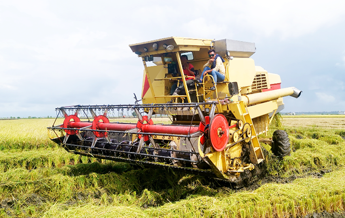 Emprego no agro bate recorde em 2026