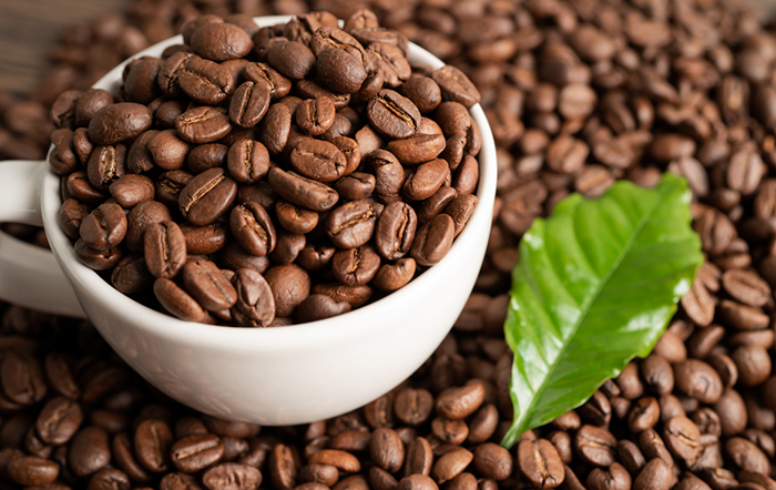 Café: Segundo melhor início de safra nas exportações