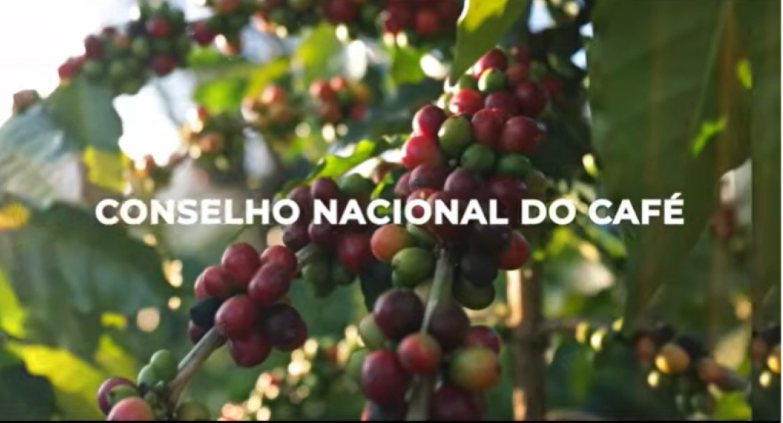 VISÃO CNC | Financiamento global e cooperativismo de crédito. Por Silas Brasileiro