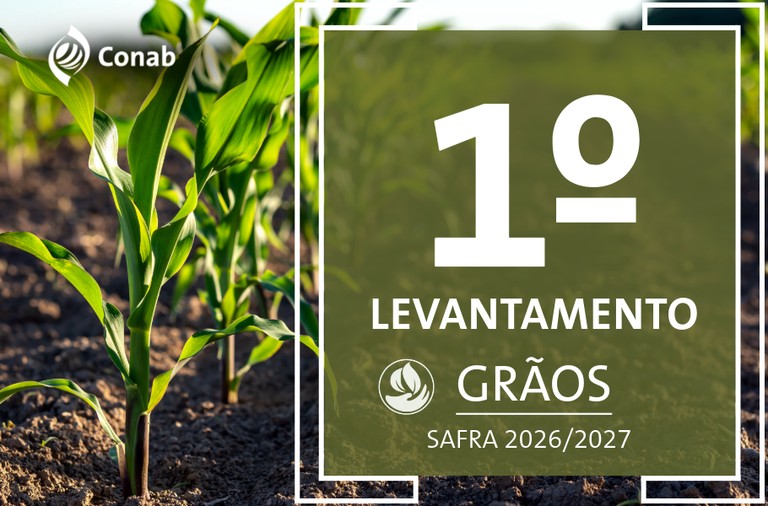 Primeiro levantamento da safra de grãos 2026/27