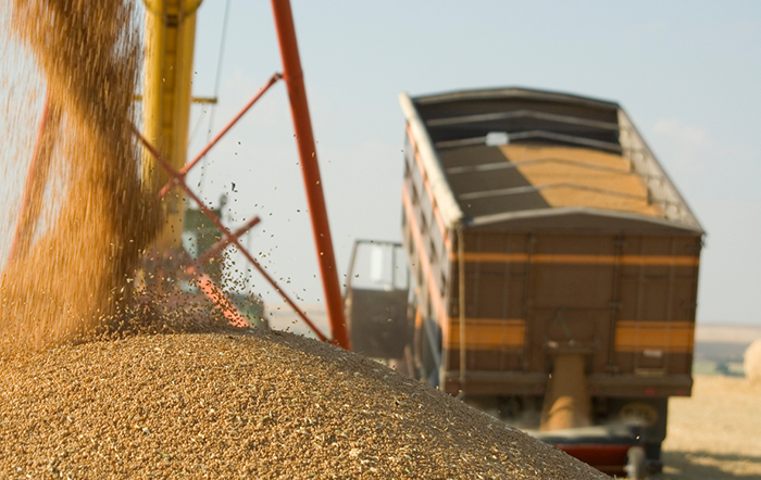 Conab: Safra 2026/27 deve crescer 1,4%