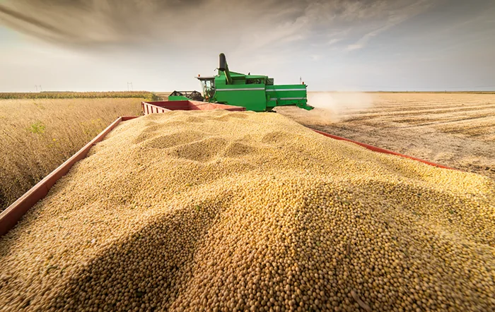 Soja: Expectativa de safra volumosa pressiona cotações para 2027