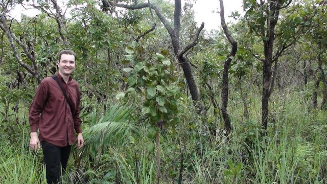 “O trabalho da Rede de Sementes de Cerrado chega a Mato Grosso para reforçar as atividades exercidas por outras redes - como a do Xingu e Portal da Amazônia”, destaca o biólogo Ingo Isernhagen, pesquisador da Embrapa Agrossilvipastoril.