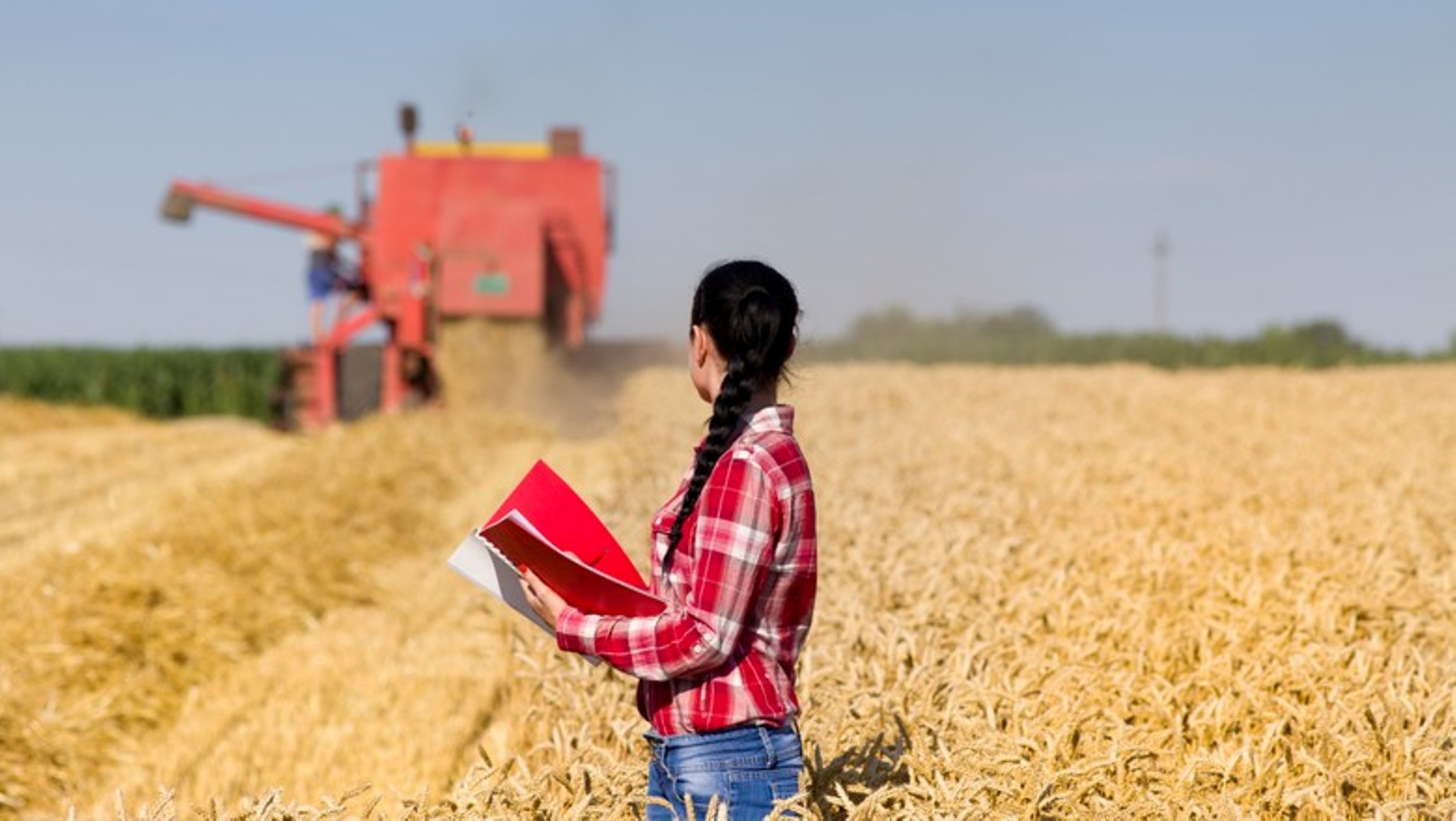 Mulheres que atuam no agro são líderes, gestoras e empreendedoras, aponta pesquisa